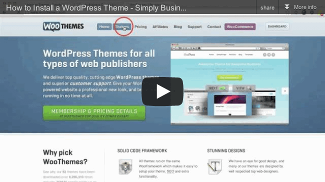 Install WordPress theme